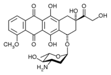Epirubicin. Image source http://upload.wikimedia.org/wikipedia/commons/thumb/f/fc/Epirubicin.png/220px-Epirubicin.png